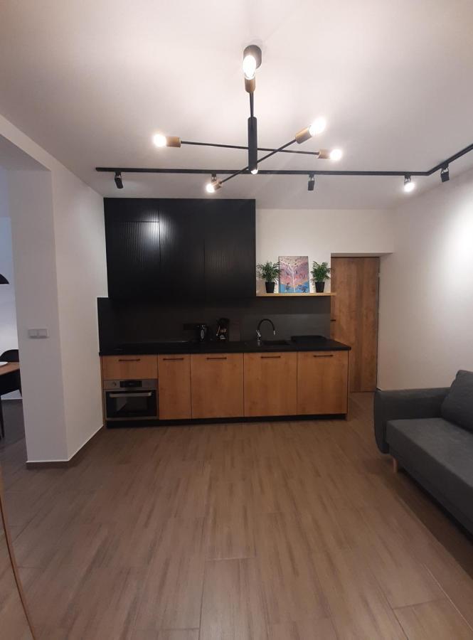 Apartament Asnyka Centrum Nowy Sacz Bagian luar foto